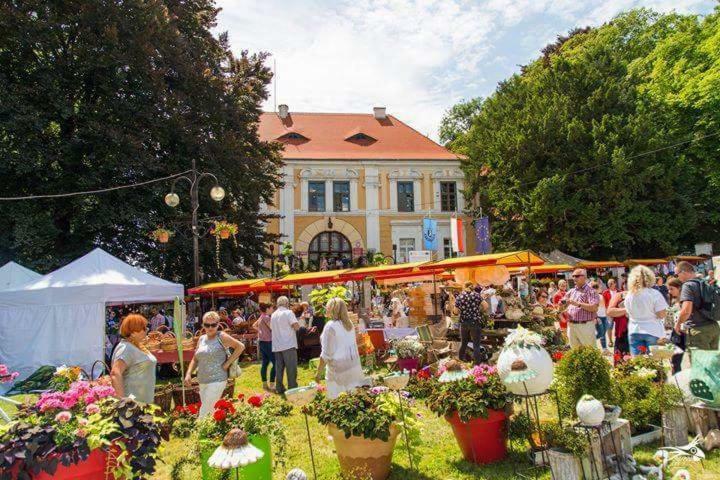 Der Kleine Bauernhof Keine Arbeiter Zadnych Pracownikow Apartment Lubiatow  ภายนอก รูปภาพ